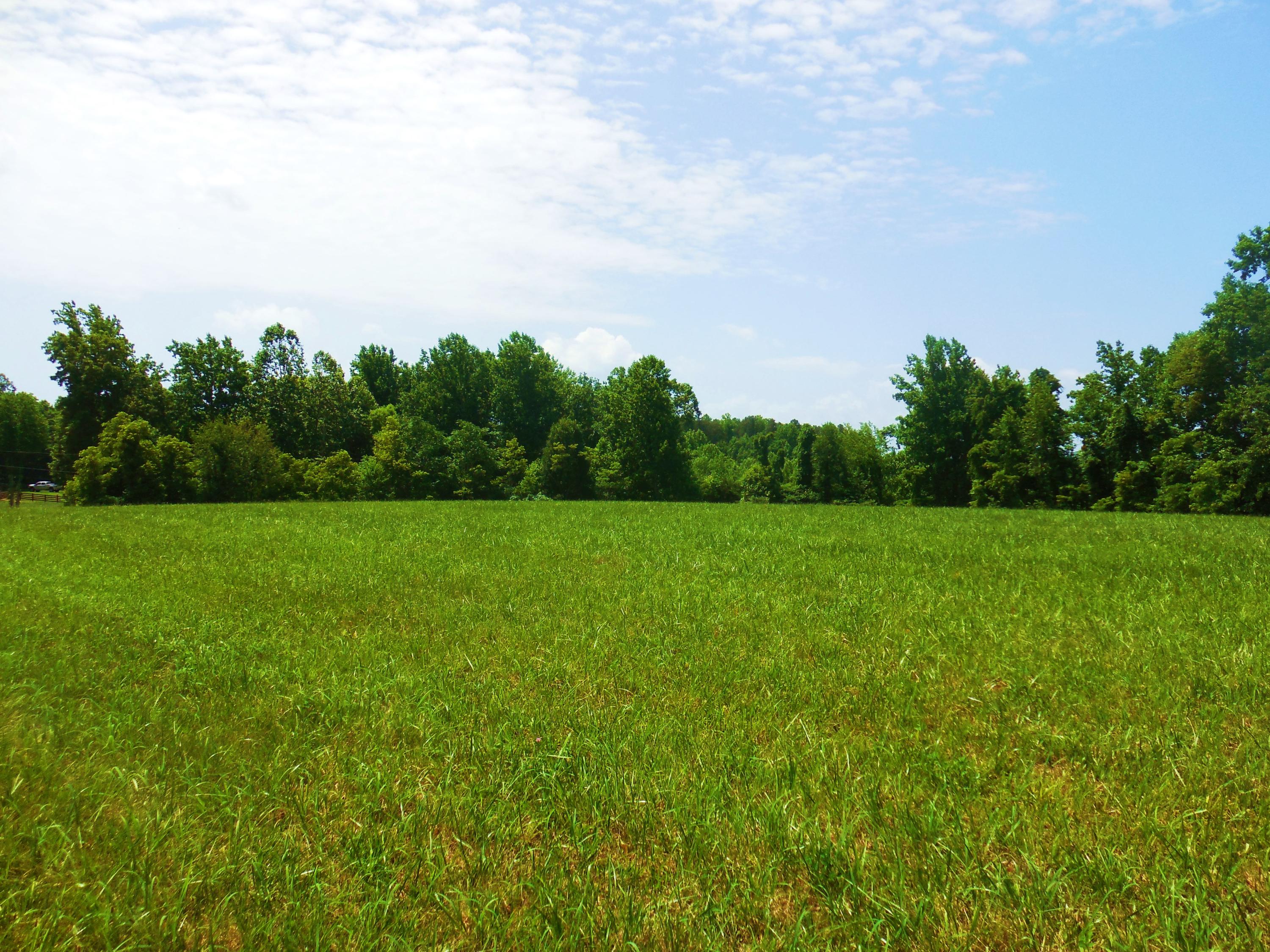 Lot 17 Horseshoe Bend Road Goodview, VA 24095 - Photo 17 of 31 a view of a green field with wooden fence