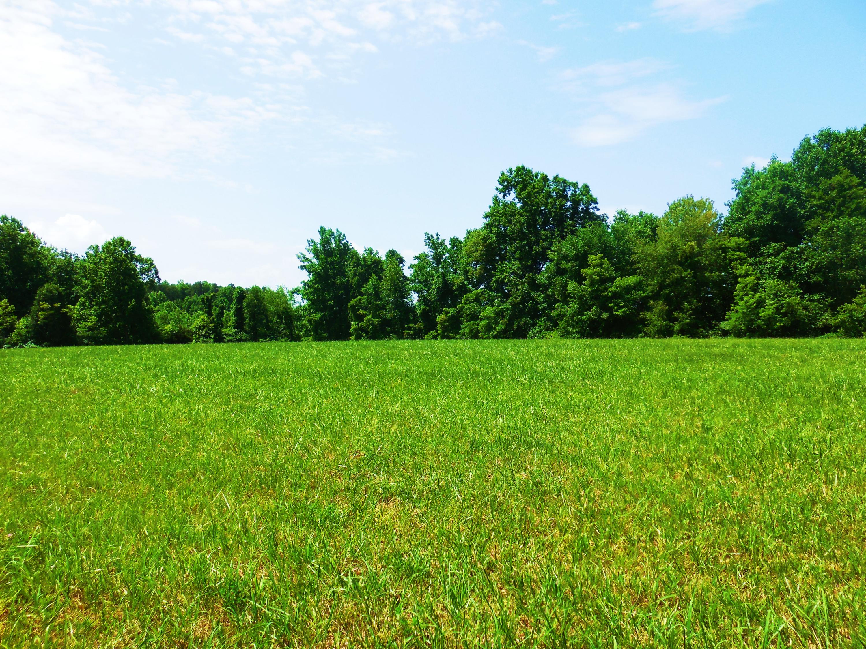Lot 17 Horseshoe Bend Road Goodview, VA 24095 - Photo 18 of 31 a backyard of a house with lots of green space and trampoline