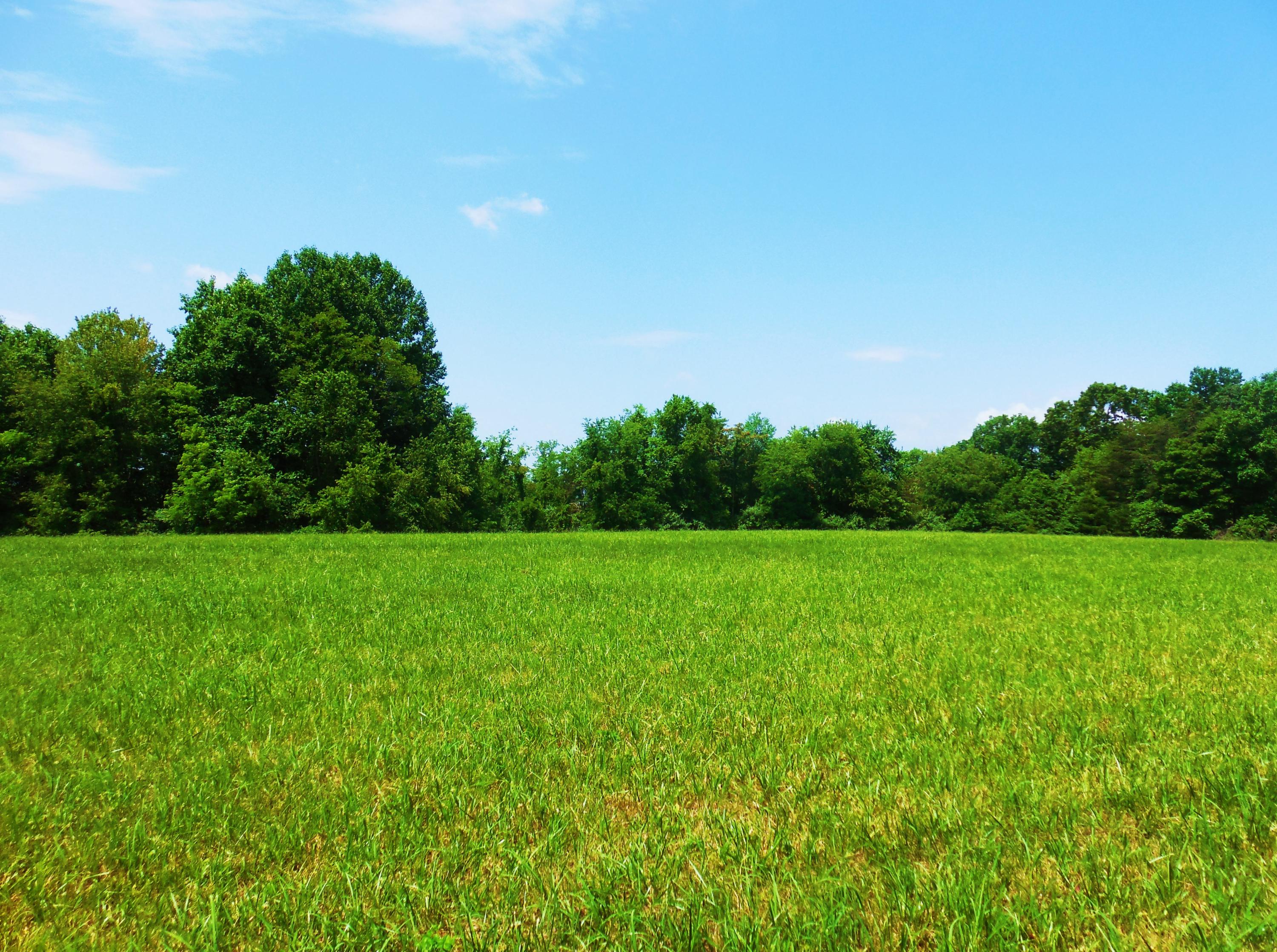 Lot 17 Horseshoe Bend Road Goodview, VA 24095 - Photo 20 of 31 a green field with lots of bushes