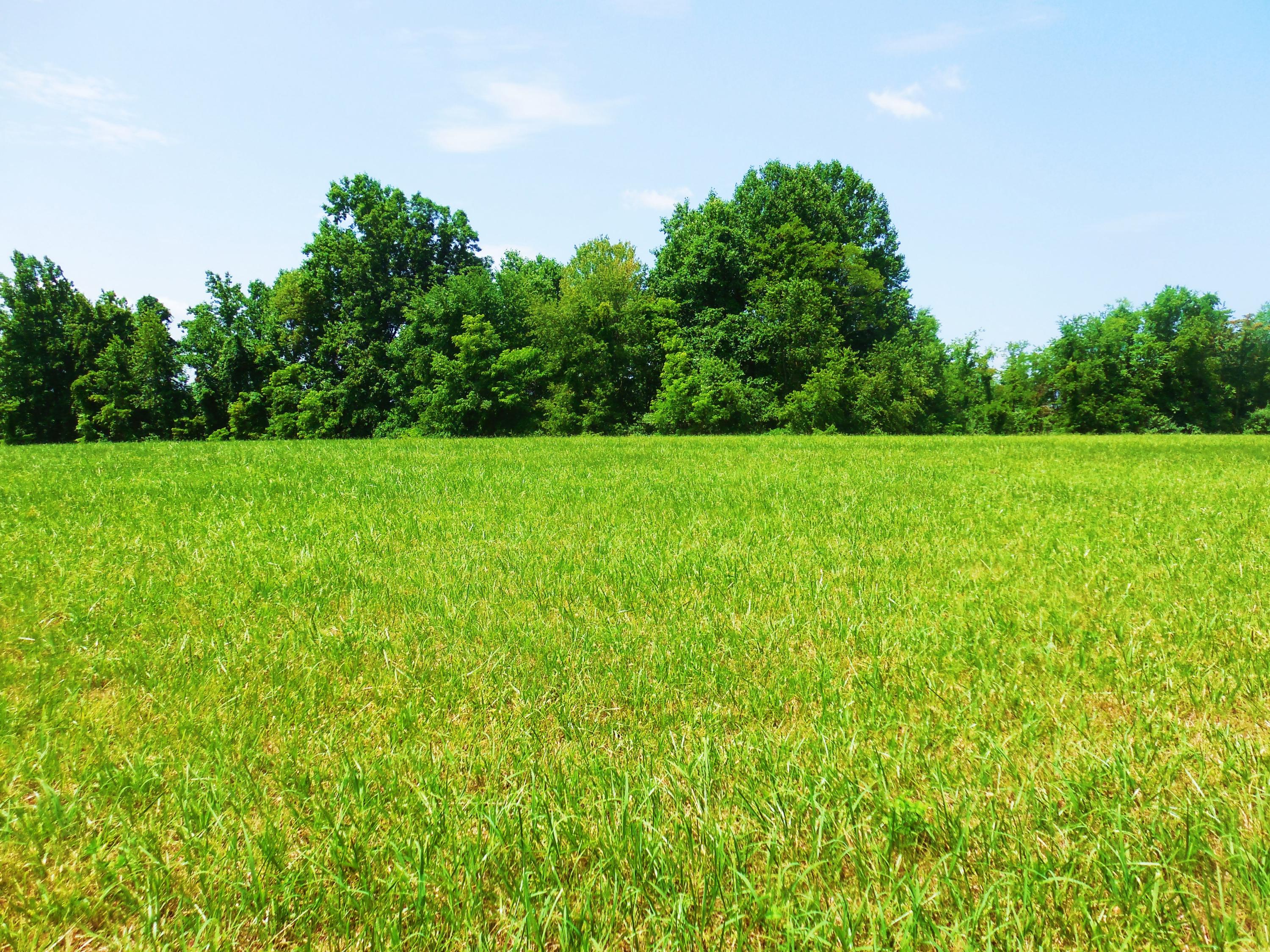 Lot 17 Horseshoe Bend Road Goodview, VA 24095 - Photo 23 of 31 a view of field with trees in the background