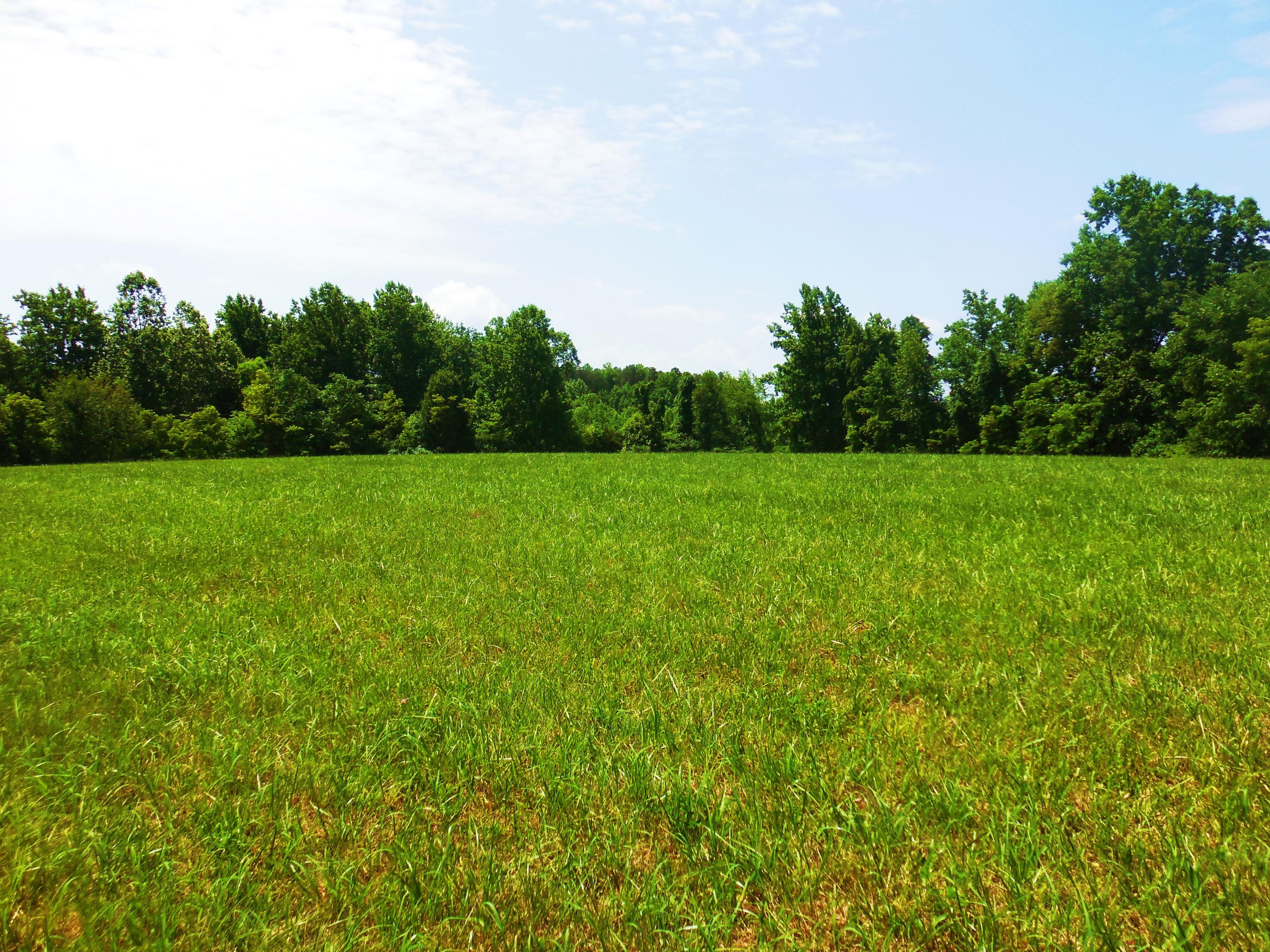 Lot 17 Horseshoe Bend Road Goodview, VA 24095 - Photo 25 of 31 a view of field with trees in the background