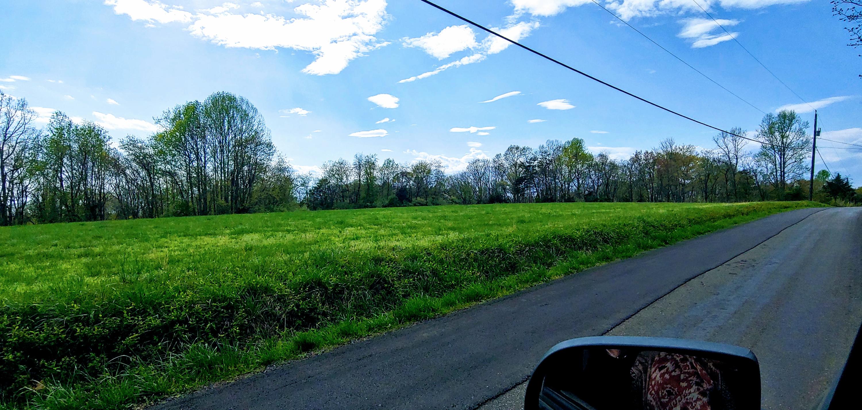 Lot 17 Horseshoe Bend Road Goodview, VA 24095 - Photo 26 of 31 a view of a yard with an tree and a table