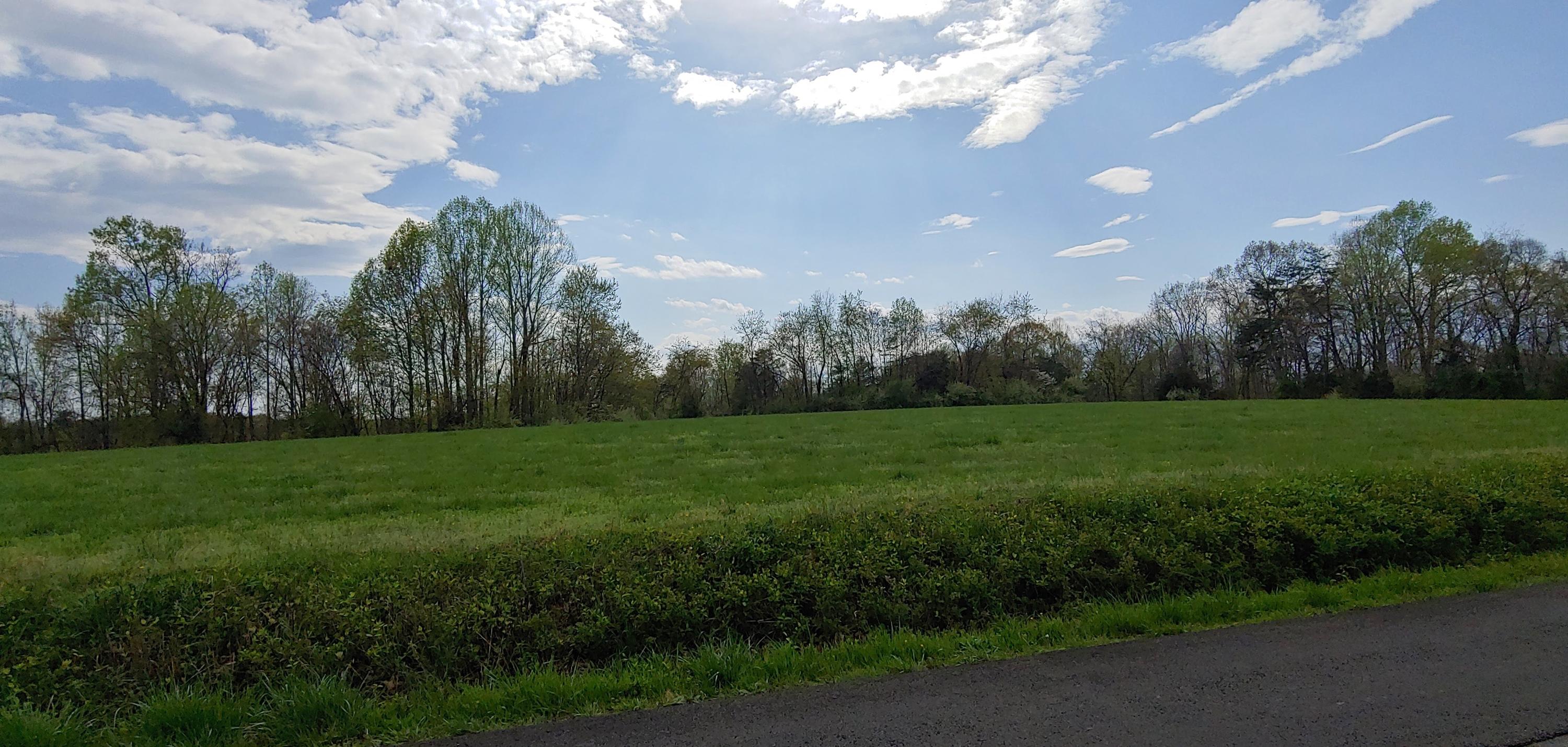 Lot 17 Horseshoe Bend Road Goodview, VA 24095 - Photo 28 of 31 a view of a golf course with a big yard