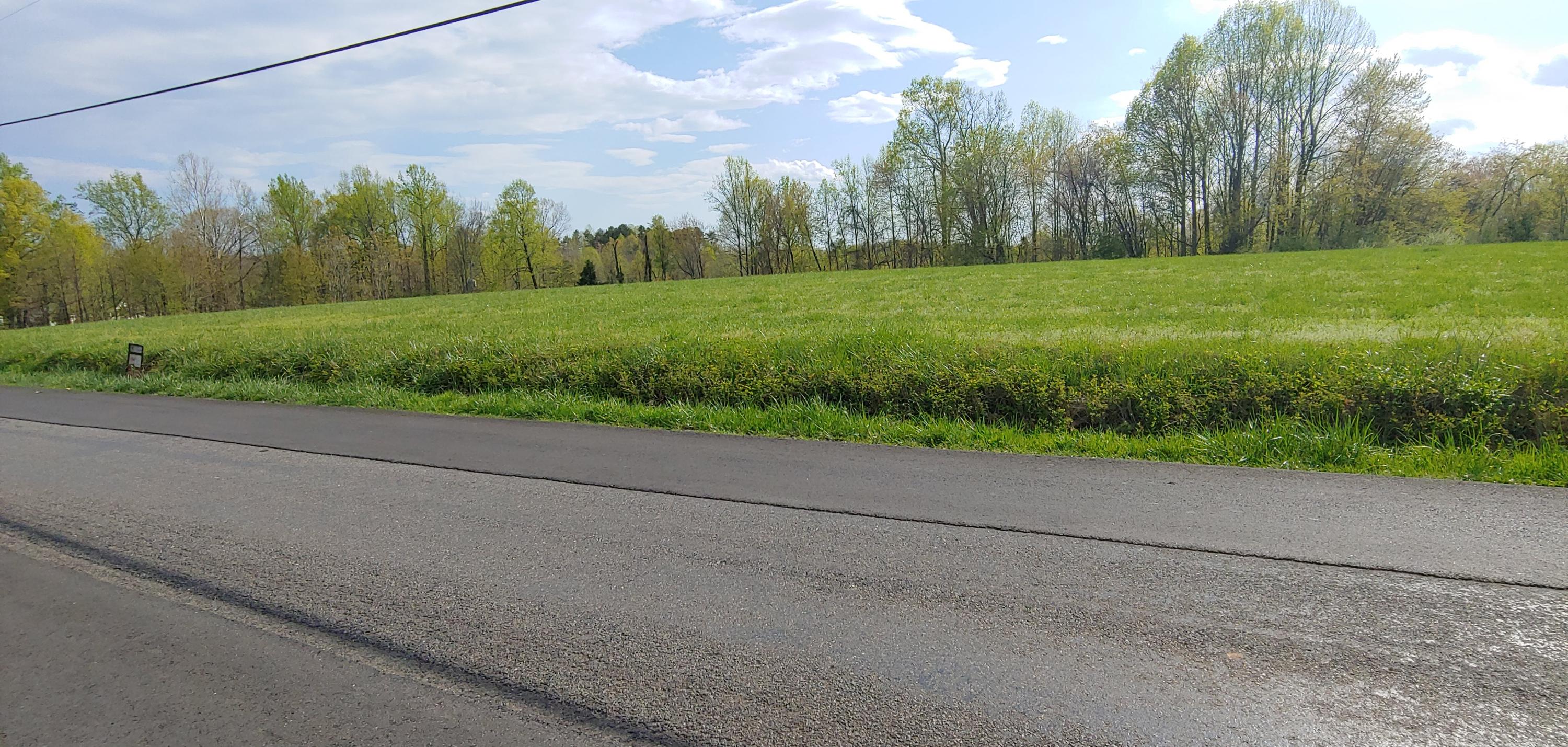Lot 17 Horseshoe Bend Road Goodview, VA 24095 - Photo 29 of 31 a view of a field with a small yard and large trees