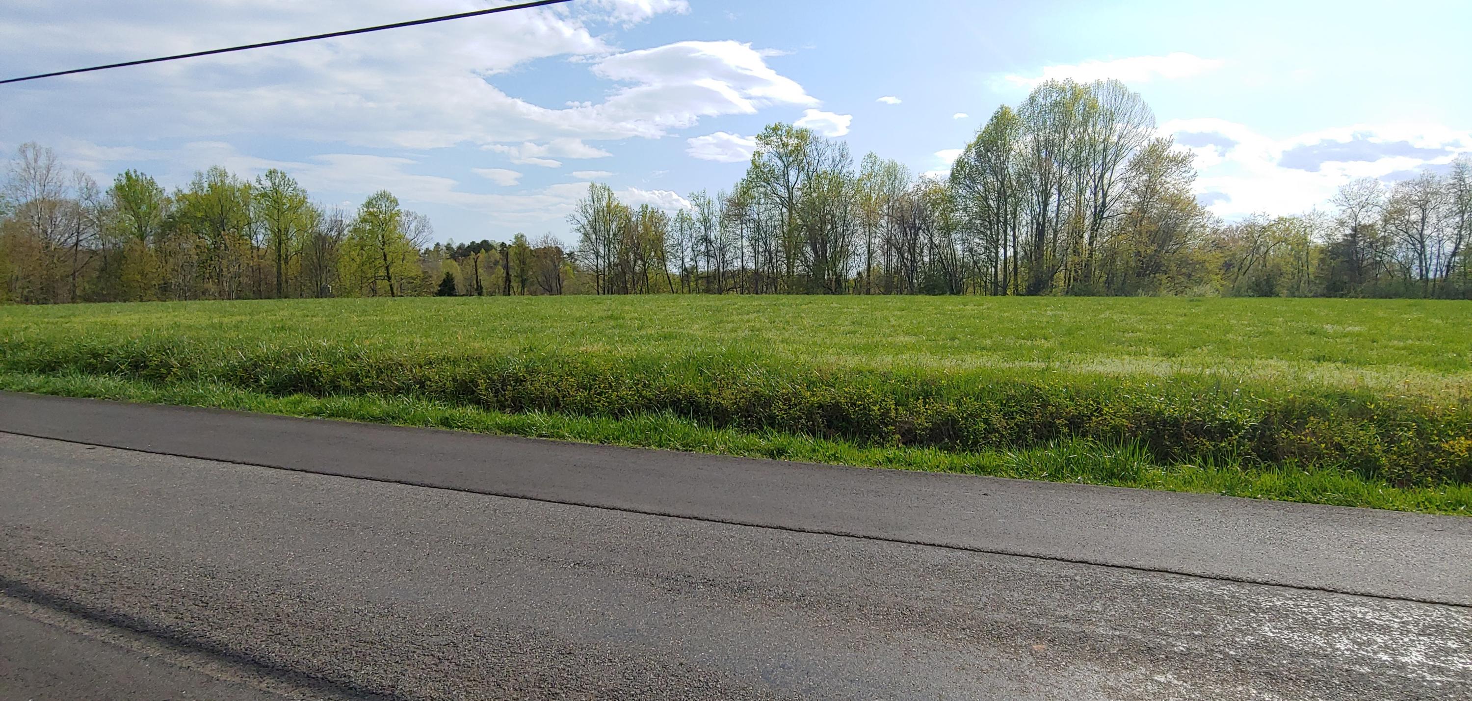Lot 17 Horseshoe Bend Road Goodview, VA 24095 - Photo 30 of 31 a view of a yard and a street view