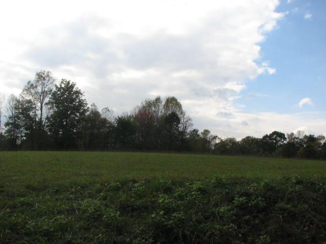 Lot 17 Horseshoe Bend Road Goodview, VA 24095 - Photo 3 of 31 a view of grassy field with trees
