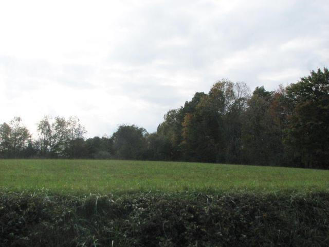 Lot 17 Horseshoe Bend Road Goodview, VA 24095 - Photo 4 of 31 a view of a grassy field