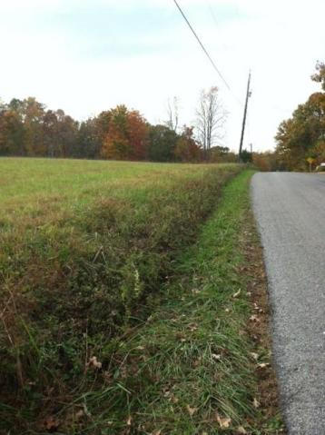 Lot 17 Horseshoe Bend Road Goodview, VA 24095 - Photo 5 of 31 a view of a lush green field
