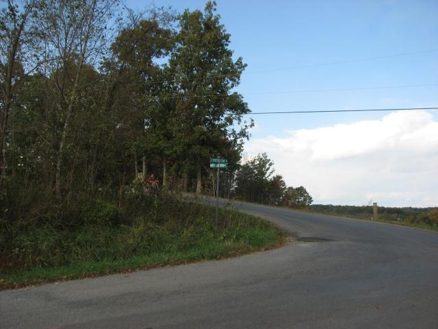 Lot 17 Horseshoe Bend Road Goodview, VA 24095 - Photo 6 of 31 a view of a road with a yard