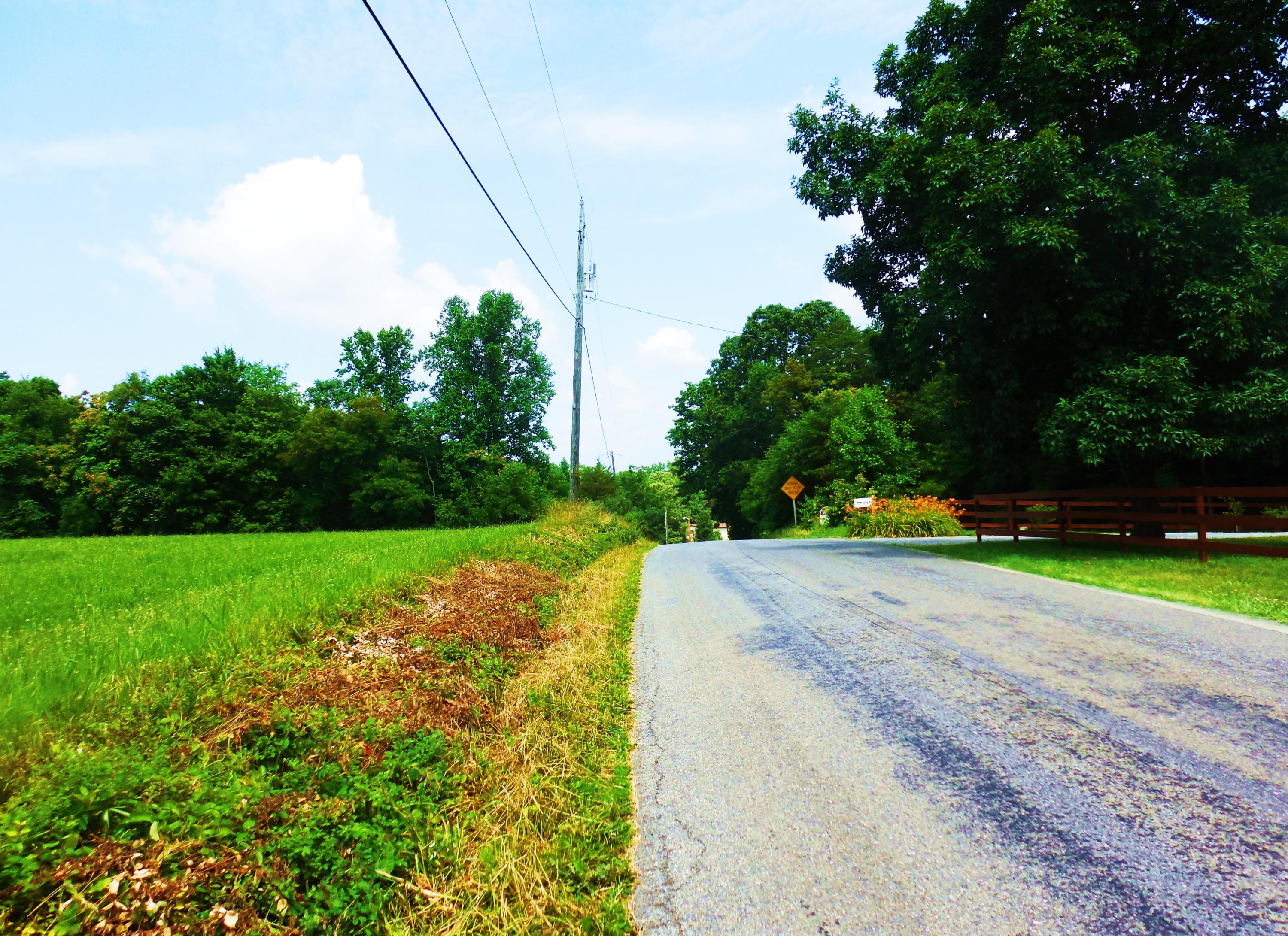 Lot 17 Horseshoe Bend Road Goodview, VA 24095 - Photo 10 of 31 a view of a park with large trees