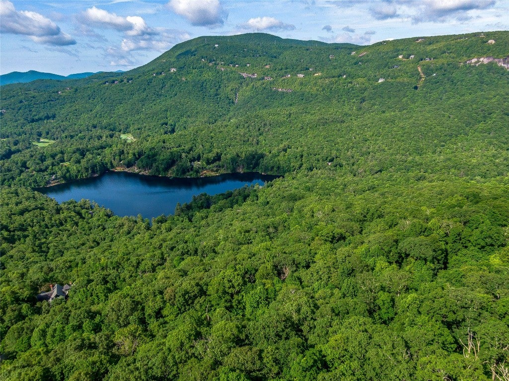 Lot 22 Panther Ridge Road Lake Toxaway, NC 28747 - Photo 12 of 28 Gallery Image 12