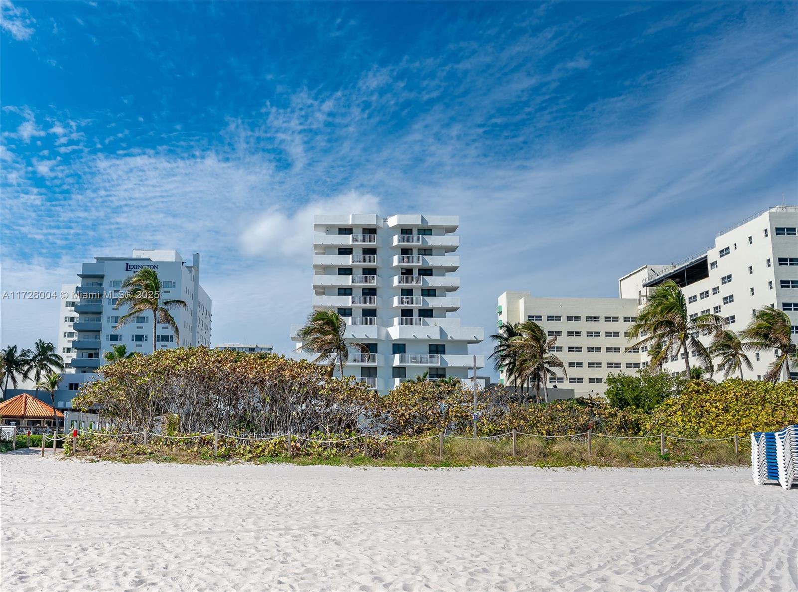 4301 Collins Avenue, Unit 1003 Miami Beach, FL 33140 - Photo 24 of 37 a view of a garden
