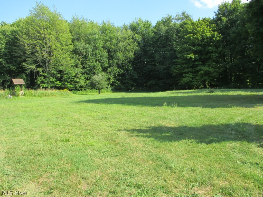 4900 Highway 534 Rome, OH 44085 - Photo 5 of 10 Gallery Image 5