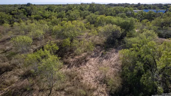 a view of a forest with a street