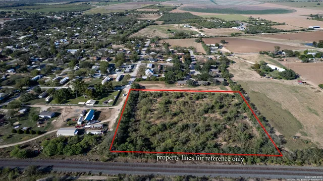 a view of a forest with a street