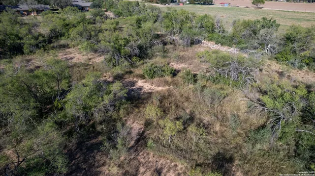 a view of a forest with a houses