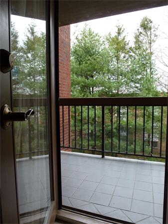 4975 Washington Street, Unit 305 Boston, MA 02132 - Photo 14 of 16