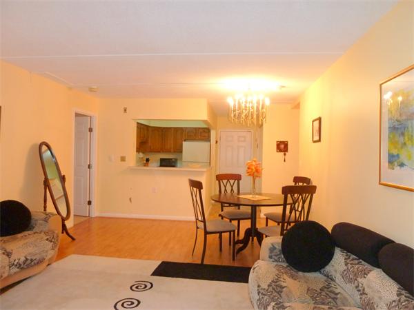 4975 Washington Street, Unit 305 Boston, MA 02132 - Photo 4 of 16