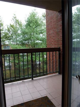 4975 Washington Street, Unit 305 Boston, MA 02132 - Photo 10 of 16