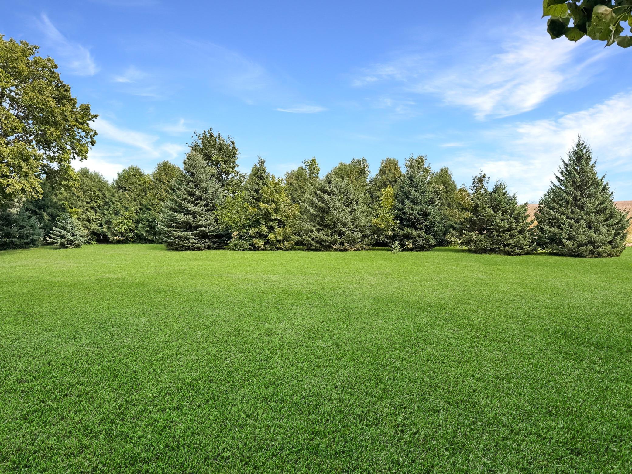 311 1st Street Russell, MN 56169 - Photo 44 of 53