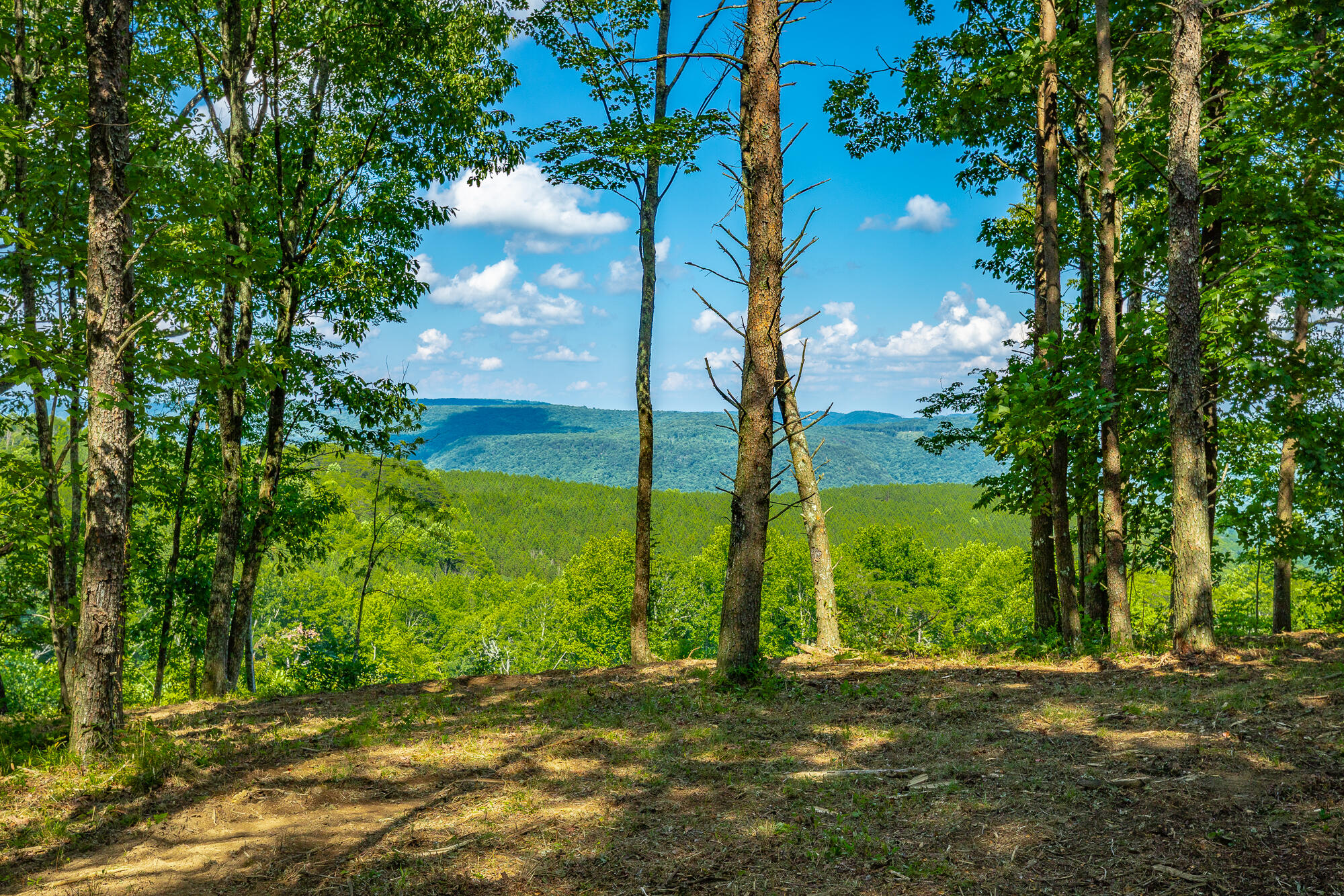 0 High Ground Road, Unit 2222 Guild, TN 37340 - Photo 4 of 110 0 High Ground Road Lot 2222 HD-65