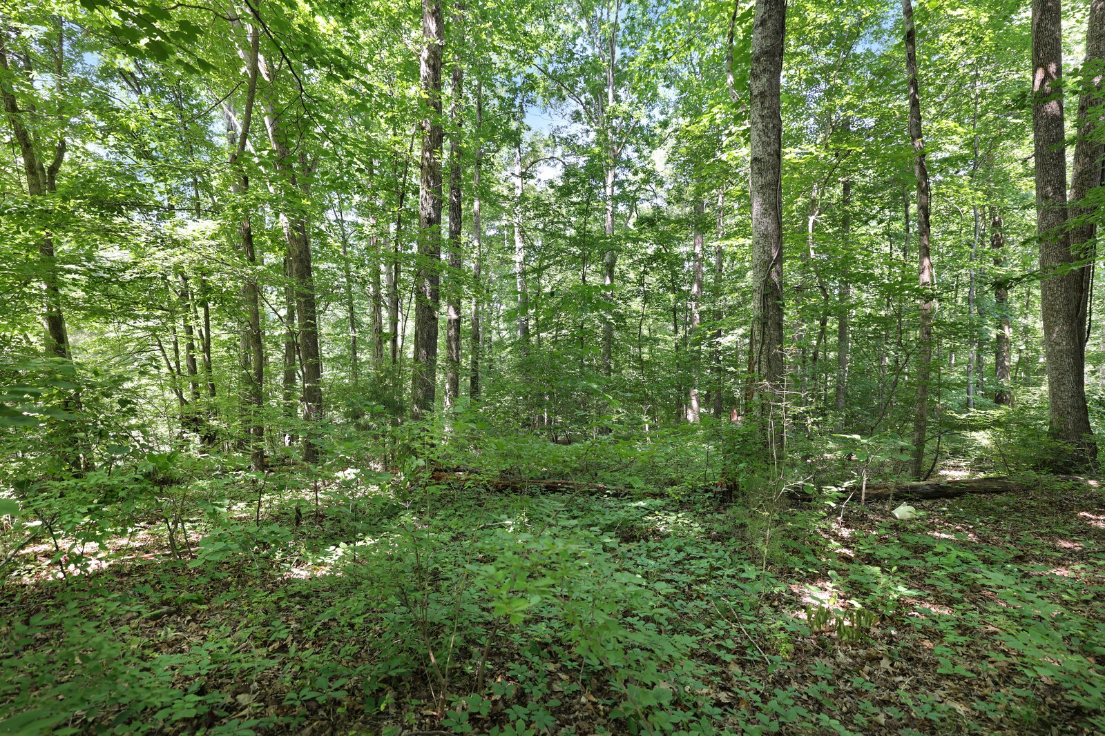 1024 Granada Road Ashland City, TN 37015 - Photo 12 of 13 Gallery Image 12