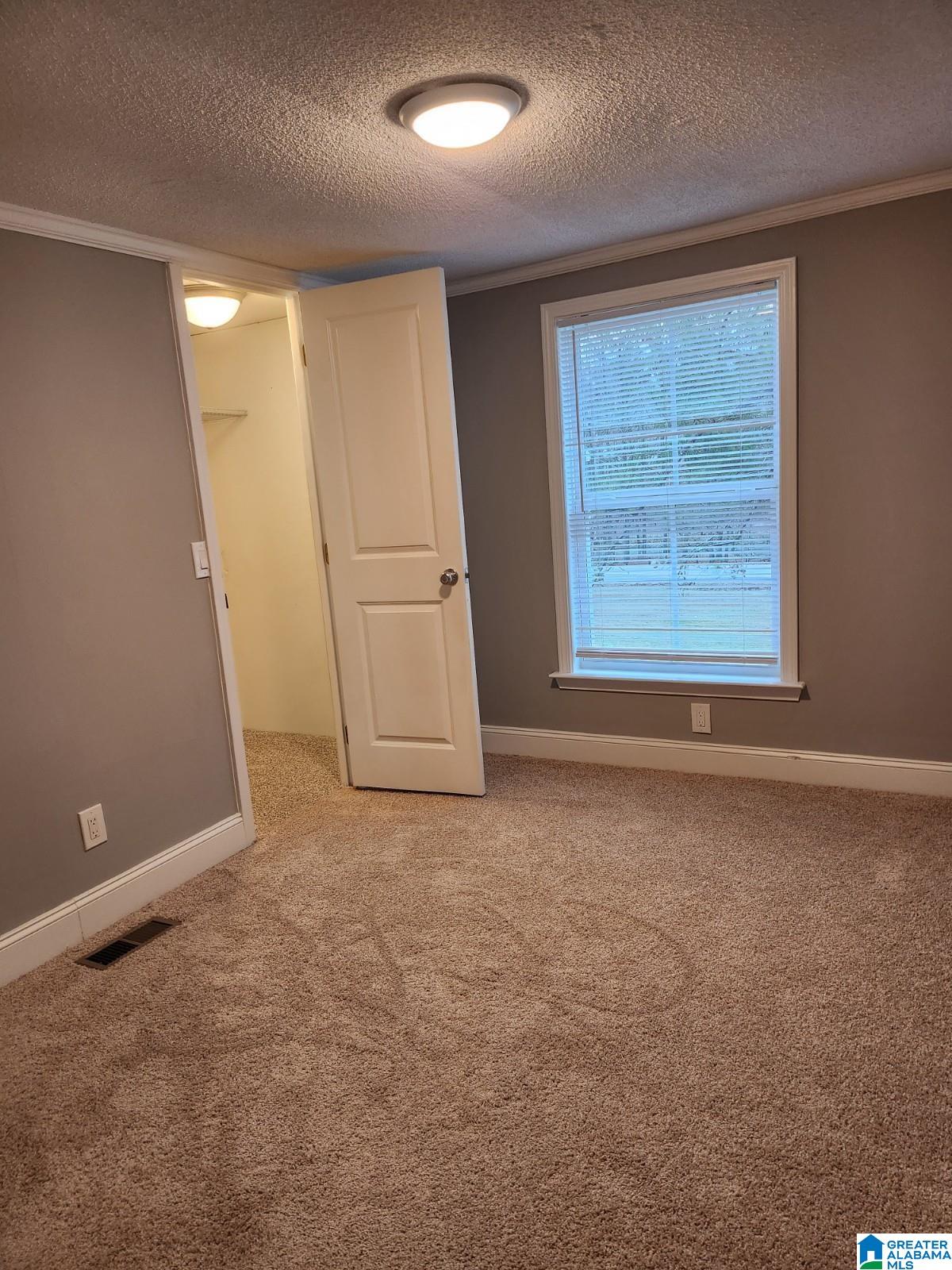 6394 Trussville Clay Road Pinson, AL 35126 - Photo 10 of 18