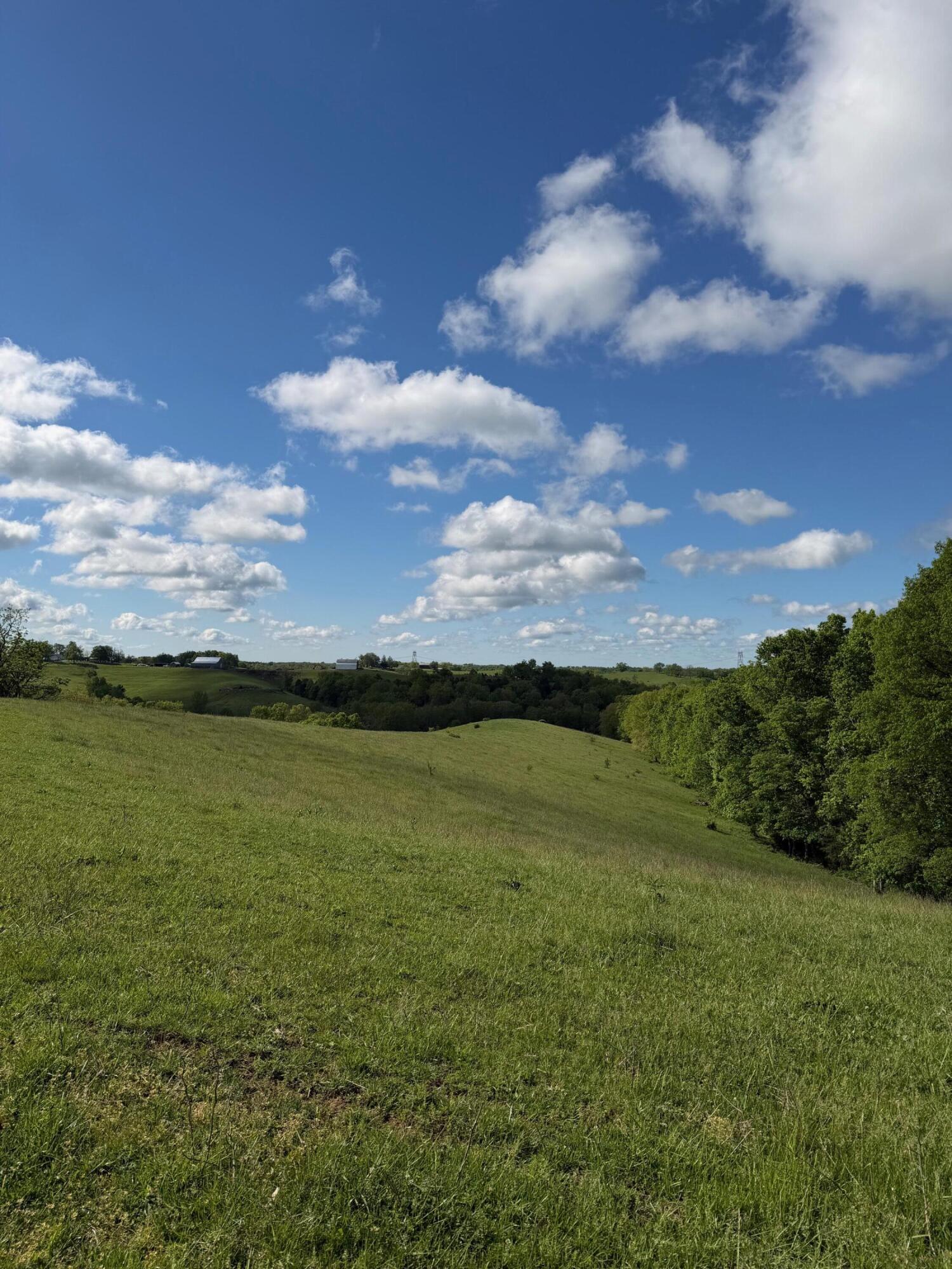 14.17-ac Chipman Ridge Road Williamstown, KY 41097 - Photo 5 of 18