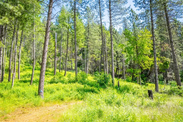 a backyard of a house with lots of green space and garden