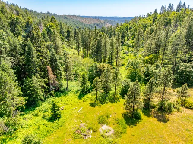 a view of a yard with an trees