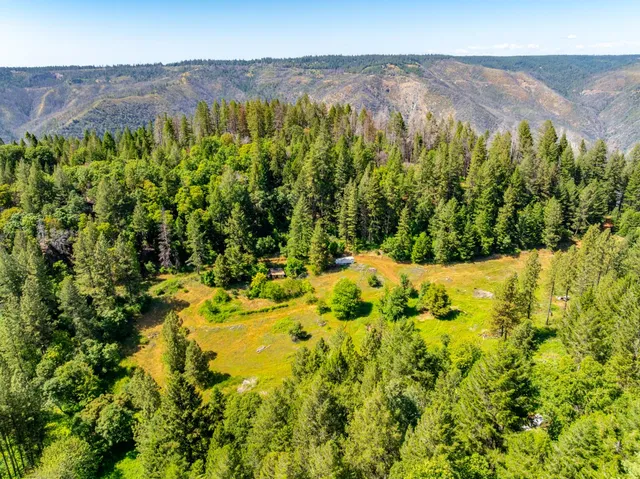 a view of a bunch of plants and flowers