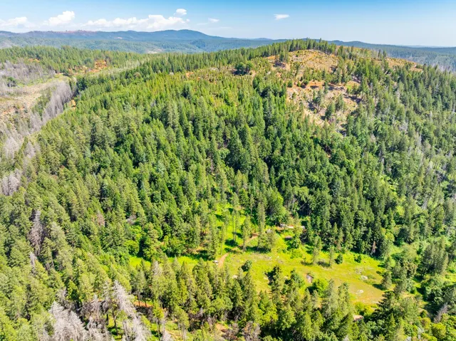 a view of a green field with lots of bushes