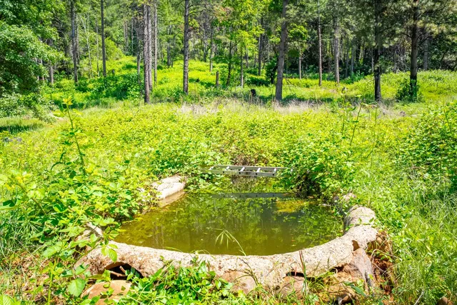 a view of outdoor space