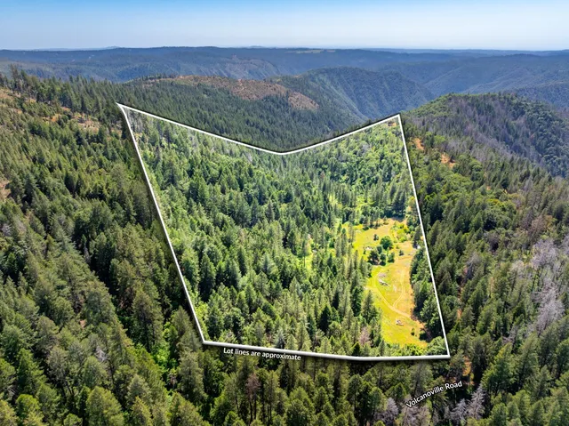 a view of a green field with lots of bushes