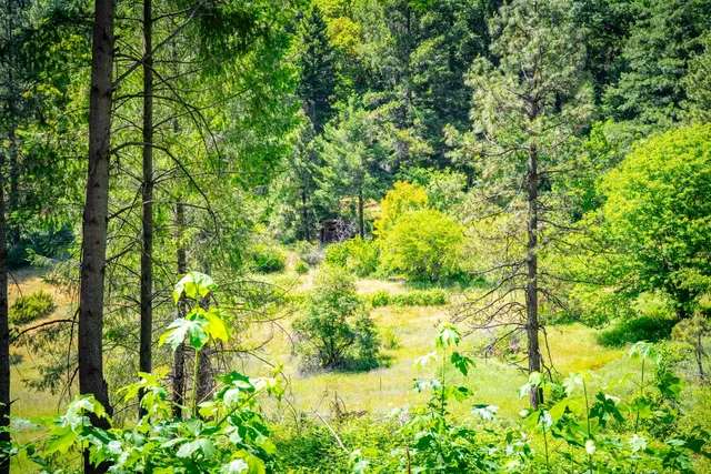 a backyard of a house with lots of green space and a garden