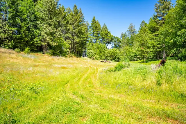 a view of beach and swimming pool