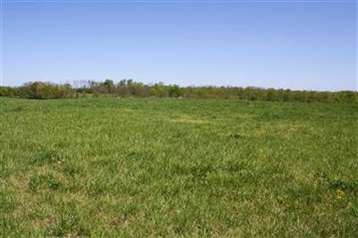 199 White Oak Road Stamping Ground, KY 40379 - Photo 1 of 5 Photo 1