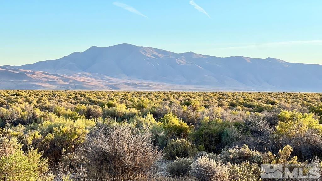 0 Paiute Lane Reno, NV 89510 - Photo 8 of 9 Photo 9