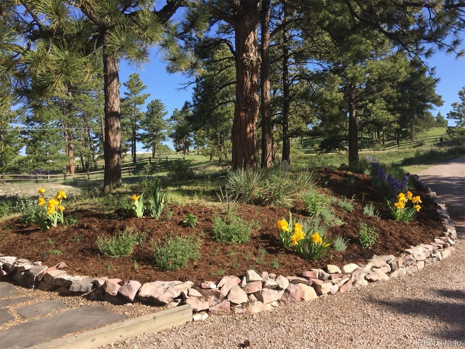 8390 East Summit Road Parker, CO 80138 - Photo 37 of 40 Gallery Image 37