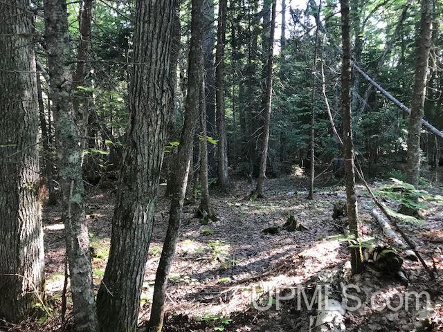 Tbd Gay Lac La Belle Road, Unit 3B Mohawk, MI 49950 - Photo 5 of 15