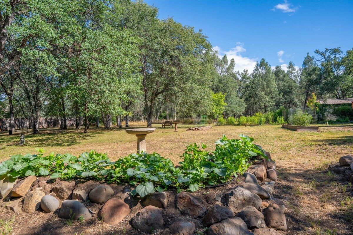 21880 Oak Meadow Road Palo Cedro, CA 96073 - Photo 58 of 79 Backyard