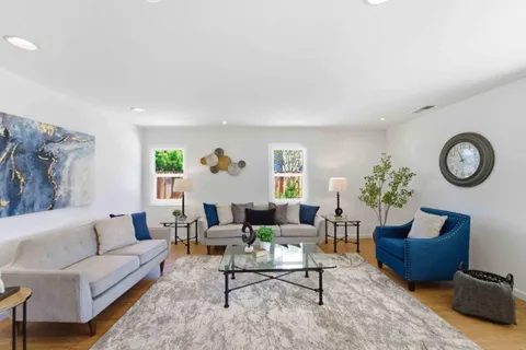 a living room with furniture a rug potted plant and a window