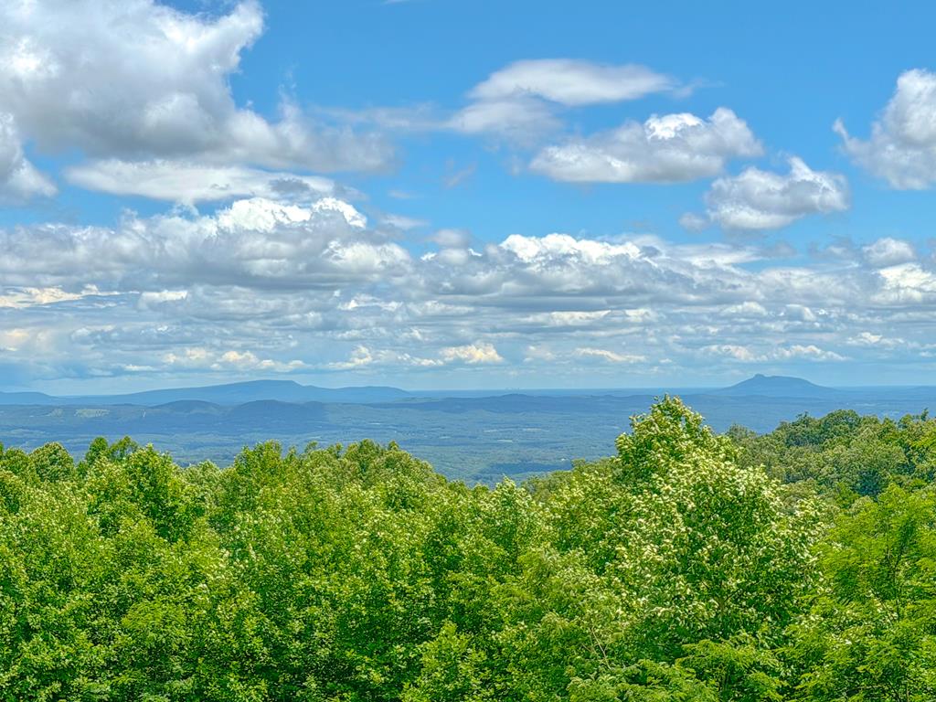 277 Cabin Ridge Trail Fancy Gap, VA 24328 - Photo 3 of 64 Gallery Image 3