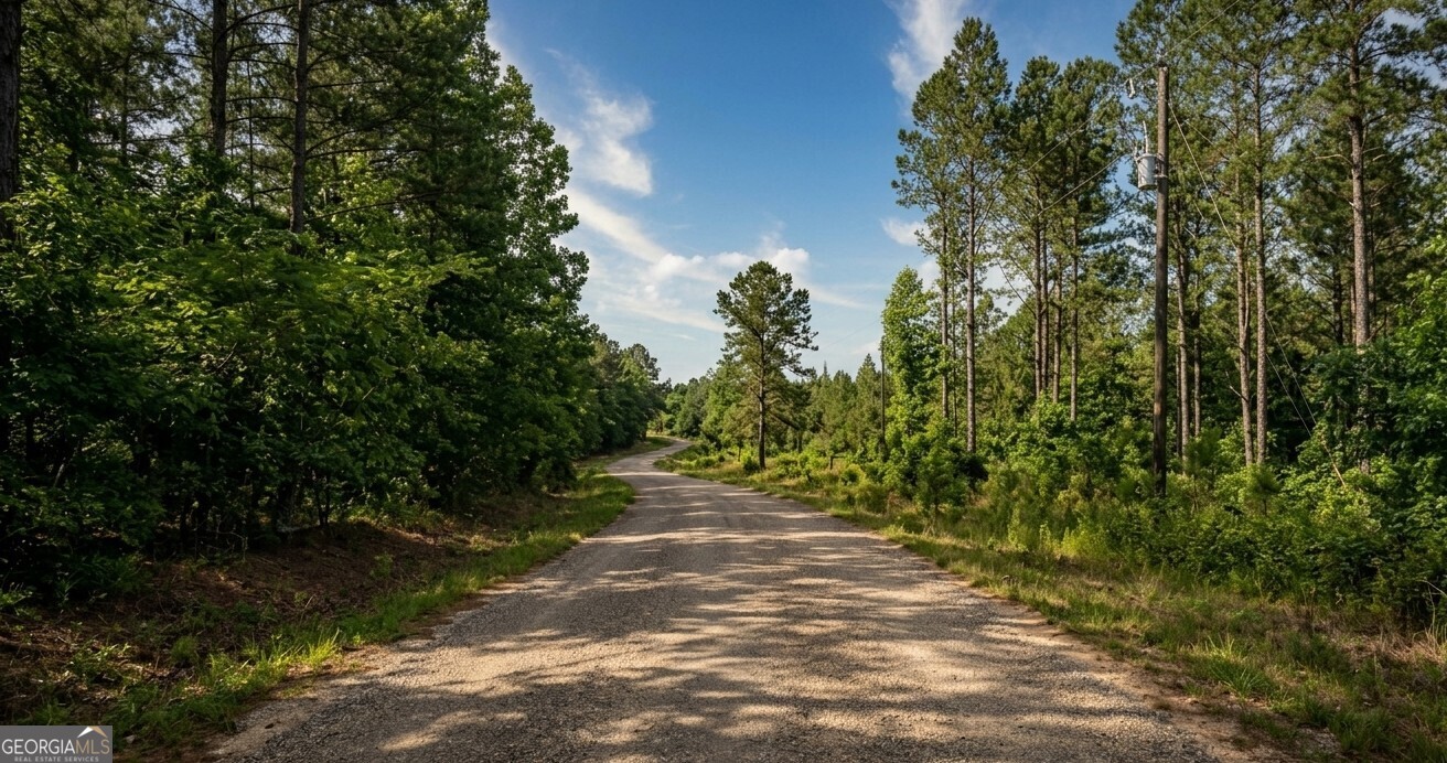 0 Sandcut Road, Unit LOT 1 Nauvoo, AL 35578 - Photo 1 of 8