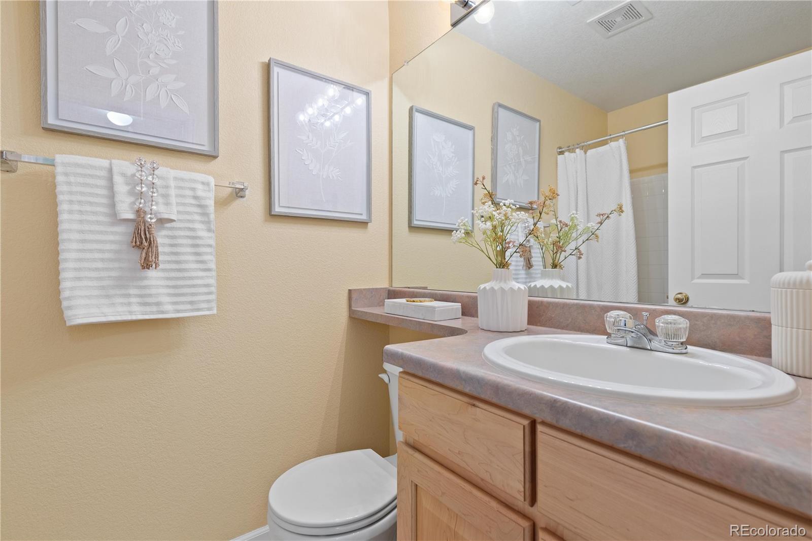1468 Thunder Butte Road Castle Rock, CO 80109 - Photo 26 of 33 a bathroom with a sink a toilet and mirror