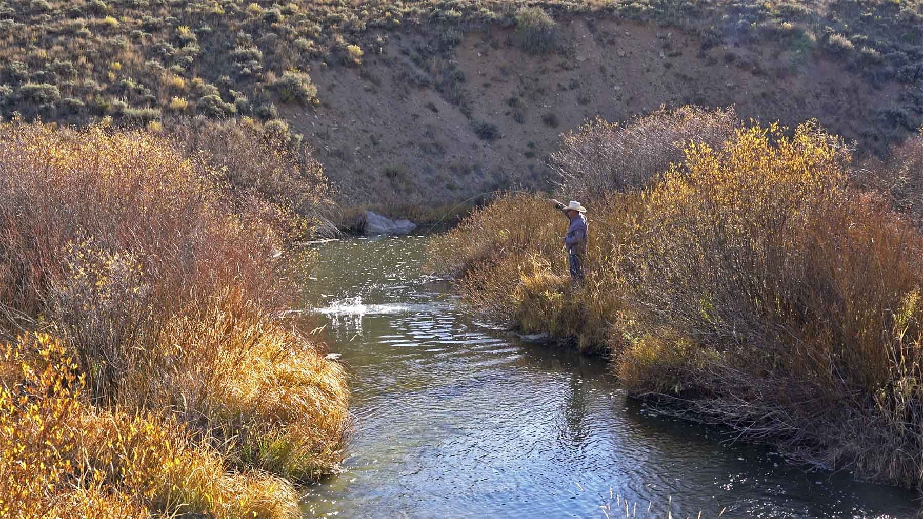 6495 Long Ridge Toponas, CO 80479 - Photo 19 of 50 Gallery Image 19