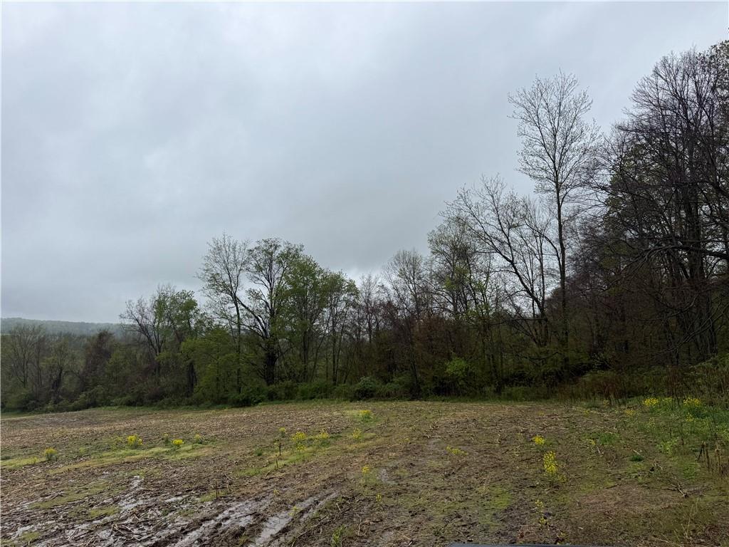0 Dunn Valley Road Waterford, PA 16441 - Photo 7 of 43