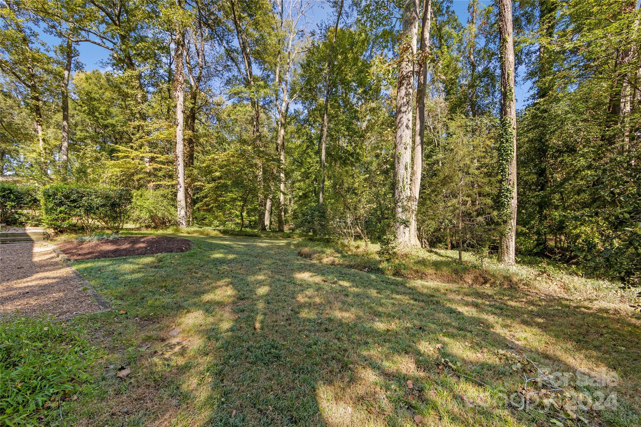 5601 Riviere Drive Charlotte, NC 28211 - Photo 36 of 38 a view of under tree