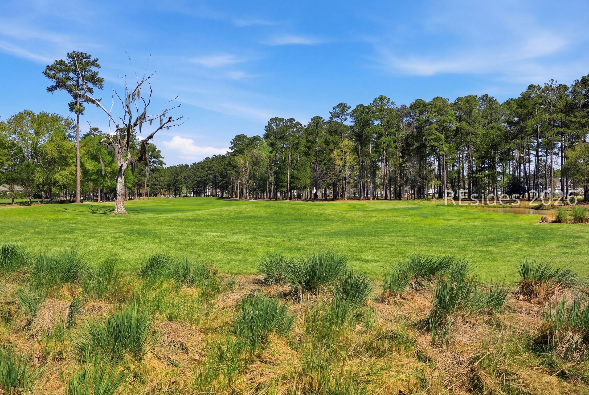 276 Persimmon Circle Hardeeville, SC 29927 - Photo 58 of 68