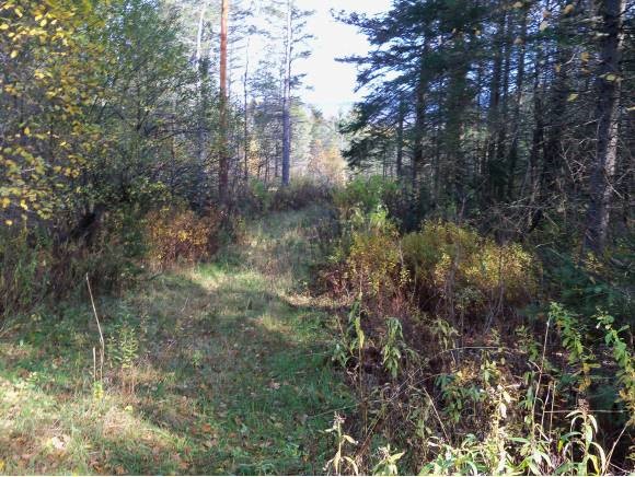 Meadowbrook Road Lancaster, NH 03584 - Photo 1 of 1